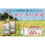 ほたるいか米 無洗米 20kg