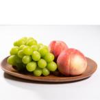 ふるさと納税 中野市 【発送月固定定期便】2026年発送 長野の果物 桃+シャインマスカット全2回