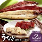 うなぎ 蒲焼き 白焼き 食べ比べセット 計800g