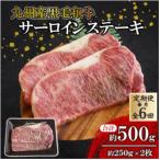サーロインステーキ 約500g