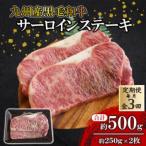 サーロインステーキ 約500g