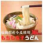 もちもち子うどん 16食入り×全12回