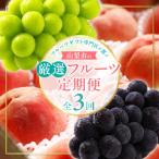 ショッピングふるさと納税 定期便 ふるさと納税 山梨市 【発送月固定定期便】2026年先行受付　フルーツギフト専門店が選ぶ山梨市の厳選フルーツ定期便　全3回
