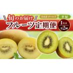 フルーツ旬の果物 Iセット全2回