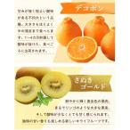 共通返礼品 フルーツ旬の果物 Aセット全4回