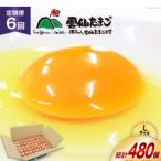 BI035 6回 定期便 雲仙たまごLサイズ 80個