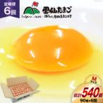BI041 6回 定期便 雲仙たまごMサイズ 90個