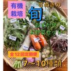 小田産の食を楽しむTAGATAMEのお任せお野菜セット7~10品全1…