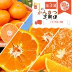 果物類 みかん 〈定期便〉 1 2 3月 全3回