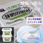 球磨の恵みヨーグルト 無糖 2kg全6回