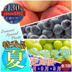 ショッピングふるさと納税 定期便 ふるさと納税 三豊市 【発送月固定定期便】夏のいいとこどり定期便♪(7月・8月・9月)全3回