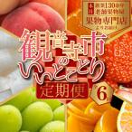 ショッピングふるさと納税 定期便 ふるさと納税 観音寺市 【発送月固定定期便】観音寺市のいいとこどり定期便♪(7月・8月・9月・12月・1月・2月)全6回