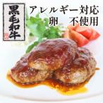 自家製 手作り黒毛和牛ハンバーグ 8個