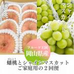ふるさと納税 津山市 【発送月固定定期便】【きよとうファーム】蟠桃とシャインマスカットのご家庭用を岡山から産地直送全2回