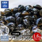 宍道湖産 冷凍大和しじみ 砂抜き済 Lサイズ 1.6kg
