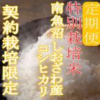 ふるさと納税 南魚沼市 【発送月固定定期便】※特別栽培米2Kg※生産者限定 南魚沼しおざわ産コシヒカリ全6回