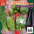 農園自慢の情熱野菜セット7品 種類おまかせ
