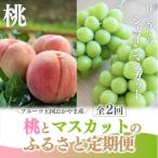 ショッピングふるさと納税 シャインマスカット ふるさと納税 真庭市 【発送月固定定期便】【2026年先行予約】桃とシャインマスカット ご家庭用定期便(岡山県産)全2回