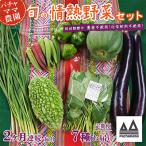 農園自慢の情熱野菜セット7品 種類おまかせ