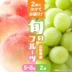 ふるさと納税 山梨市 【発送月固定定期便】桃5〜8玉(2kg)・シャインマスカット2房(1kg以上)全2回
