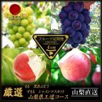 ふるさと納税 山梨市 【発送月固定定期便】フルーツ定期便全4回