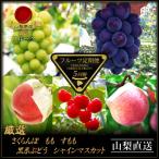 ふるさと納税 山梨市 【発送月固定定期便】フルーツ定期便全5回