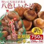 ショッピングふるさと納税 訳あり 不揃い ふるさと納税 南魚沼市 【毎月定期便】【家庭用】「八色しいたけ」750g(250g×3袋) 訳あり 不揃い全9回