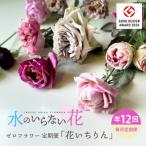SL0225 水のいらない花 ゼロフラワー定期便