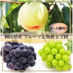 フルーツ定期便 全3回