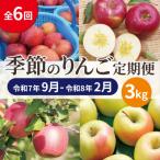 ふるさと納税 青森市 【発送月固定定期便】【25年9月〜26年2月】青森りんご 訳あり 品種おまかせ 3kg全6回