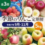 ふるさと納税 青森市 【発送月固定定期便】【25年9月〜11月】青森りんご 訳あり 品種おまかせ 5kg全3回