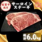 牛肉 サーロイン 全6回定期便 隔月発送 佐賀牛