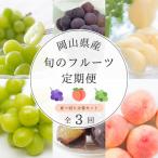 ふるさと納税 津山市 【発送月固定定期便】岡山県産旬のフルーツ定期便 少量セット全3回