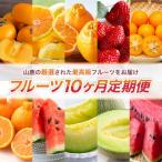 ふるさと納税 山鹿市 【発送月固定定期便】フルーツ10ヶ月定期便(10月〜7月)(山鹿市)全10回