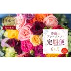 バラ20本 40cmのアレンジブーケ全6回