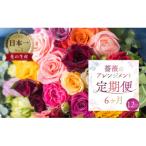 バラ20本 40cmのアレンジブーケ全12回