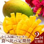 ふるさと納税 糸満市 【発送月固定定期便】マンゴー 食べ比べ 2種 アップルマンゴー キーツマンゴー全2回