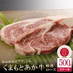 牛肉 すき焼き 南 6ヶ月定期便 GI認証 くまもとあか牛