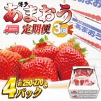 ふるさと納税 岡垣町 【発送月固定定期便】博多あまおう(250g-270g)×4P(岡垣町)全3回