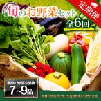 ふるさと納税 阿蘇市 【毎月定期便】季節のお野菜セットLサイズ 旬のお野菜を厳選してお届け全6回
