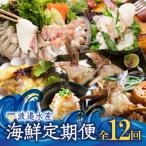 渡邉水産 定期便 12回
