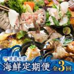 渡邉水産 定期便 3回