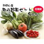 旬の新鮮野菜セット8種以上 全5回