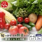 野菜ソムリエ 監修 旬の野菜 セット 4~6種類