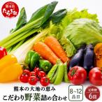 熊本の大地の恵み 旬のこだわり野菜詰め合わせセット