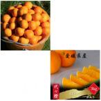 みかん まどんな 全2回