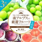ふるさと納税 南アルプス市 【発送月固定定期便】フルーツギフト専門店が選ぶ南アルプスの厳選フルーツ定期便　全3品種全3回