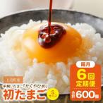 かぐやひめ 初たまご 100個