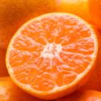 ショッピングふるさと納税 定期便 ふるさと納税 有田川町 【発送月固定定期便】家庭用 有田みかん定期便5kg+250g(傷み補償分)全3回