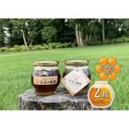 日本ミツバチの百花蜂蜜 200g×2瓶